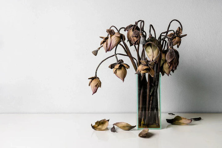 This Mother’s Day, Give a Gift That Actually Means Something